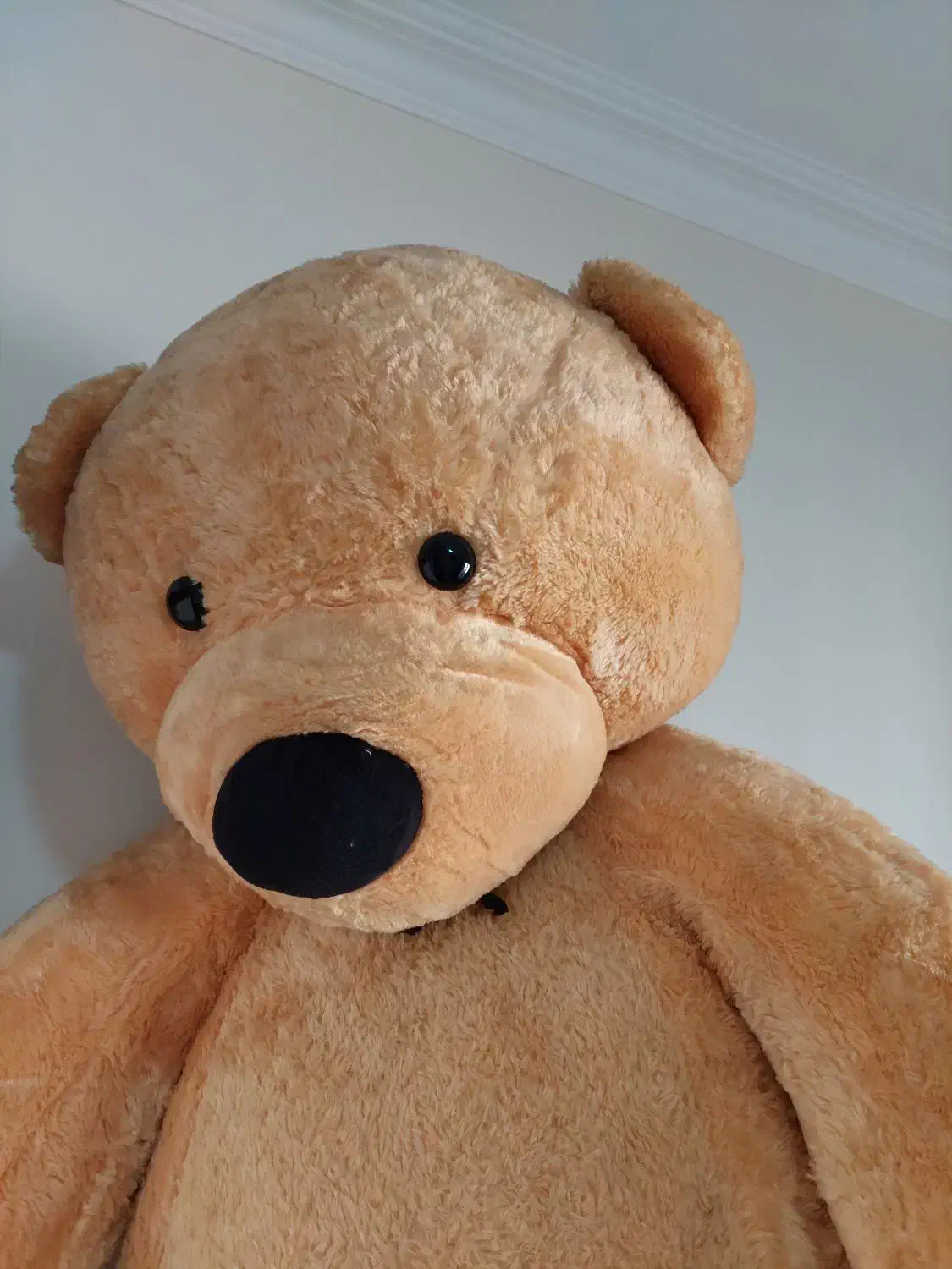 خرس بزرگ|اسباببازی بچه|تهران, سردارجنگل|دیوار