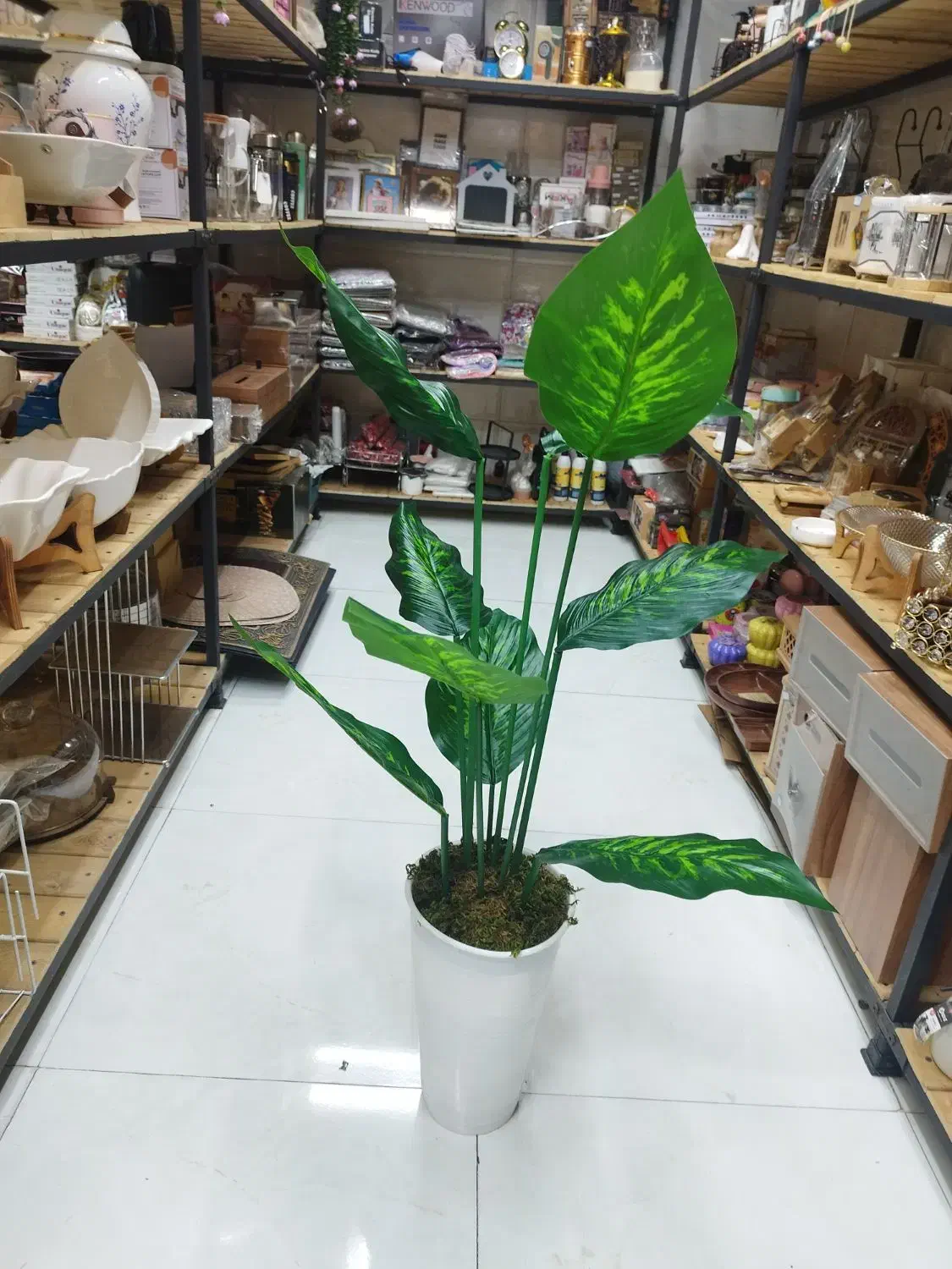 گلدان کنار سالنی|صنایع دستی و سایر لوازم تزئینی|قم, نیروگاه|دیوار