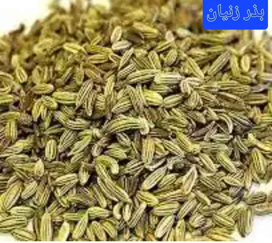 دمنوش لاغری حتمی بدون ورزش ورزیم۱۲کیلو.لاغرشوید|خوردنی و آشامیدنی|قم, شهرک امام حسن|دیوار