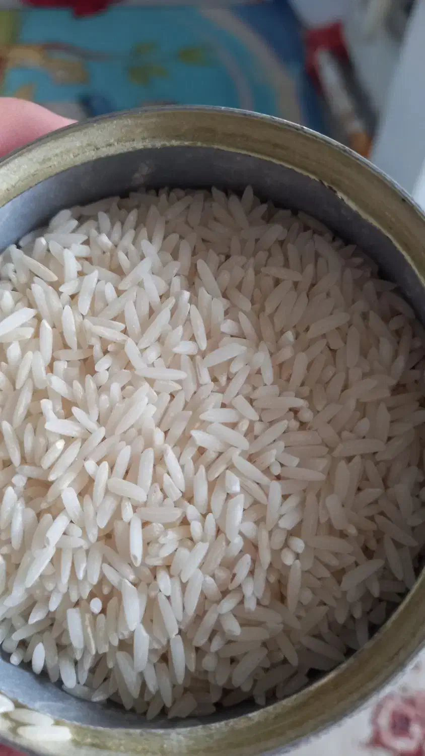 برنج طارم هاشمی|خوردنی و آشامیدنی|قائم‌شهر, |دیوار