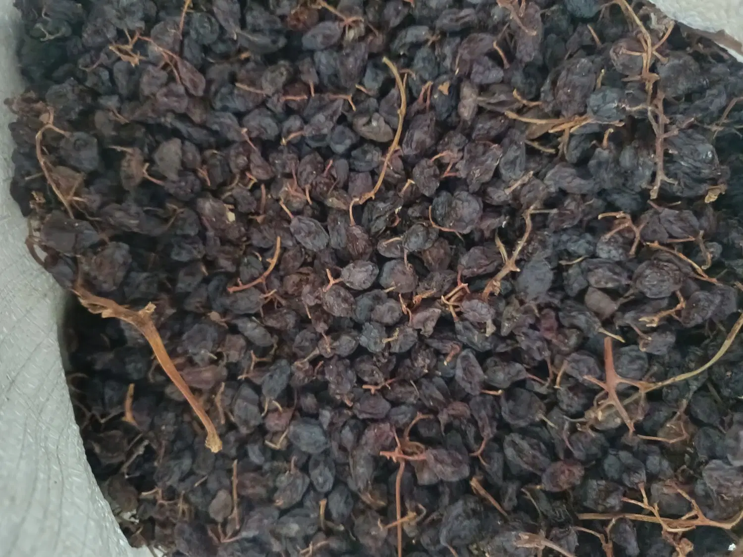 مویز|خوردنی و آشامیدنی|نورآباد ممسنی, |دیوار