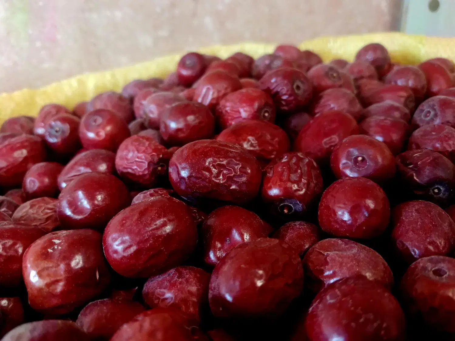 خشکبار زرشک عناب خاکشیرنیشابور|عمدهفروشی|مشهد, عیدگاه|دیوار