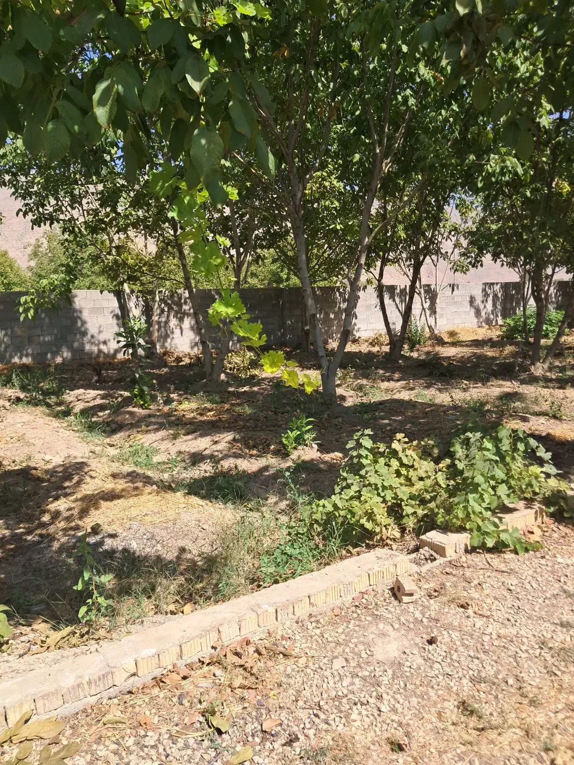 فروش /باغ /فاروق دربهترین لوکیشن|فروش خانه و ویلا|مرودشت, مسجد رسول‎|دیوار