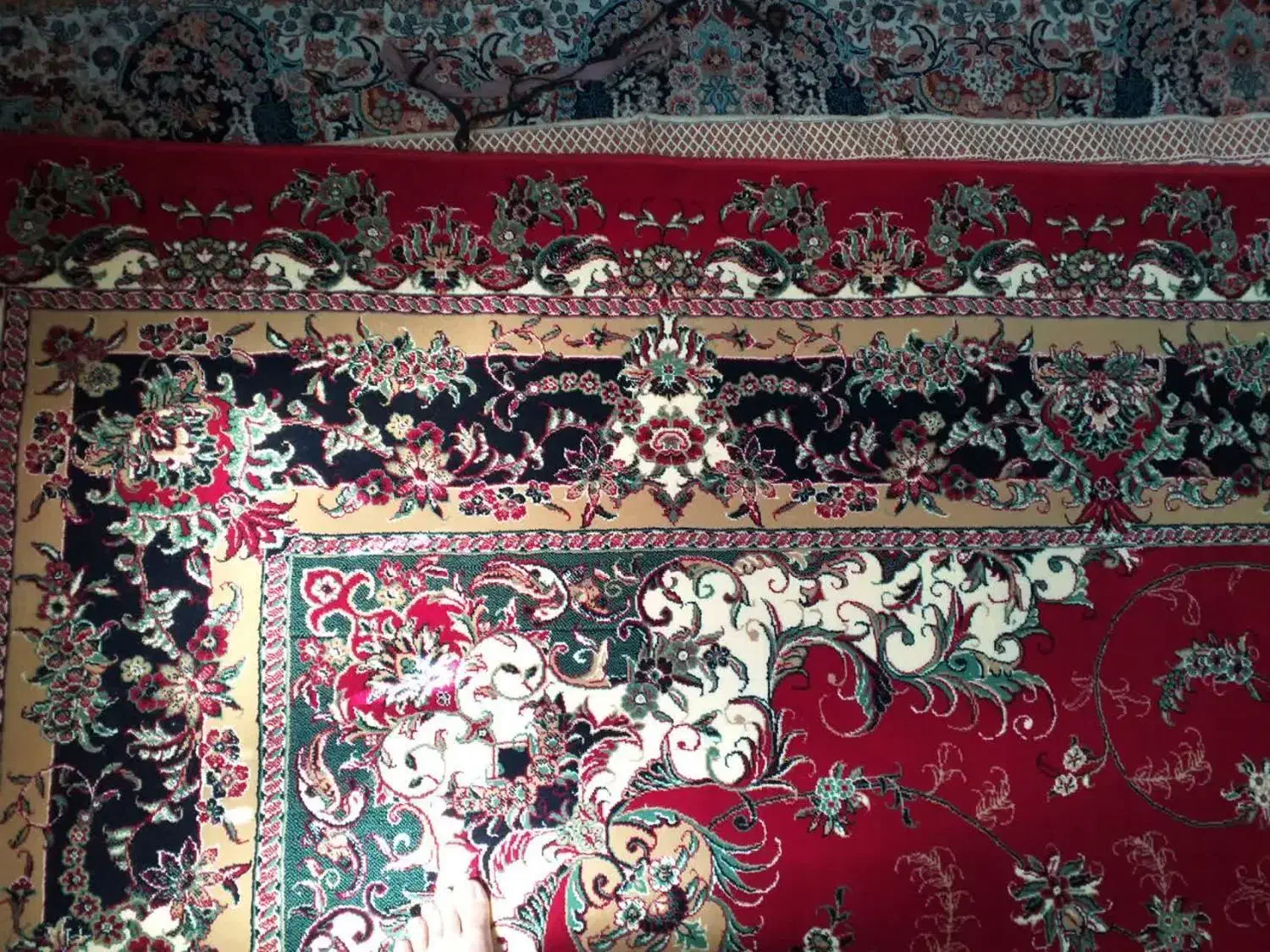 ۱۲ متری ‌نو‌|فرش|باقرشهر, |دیوار