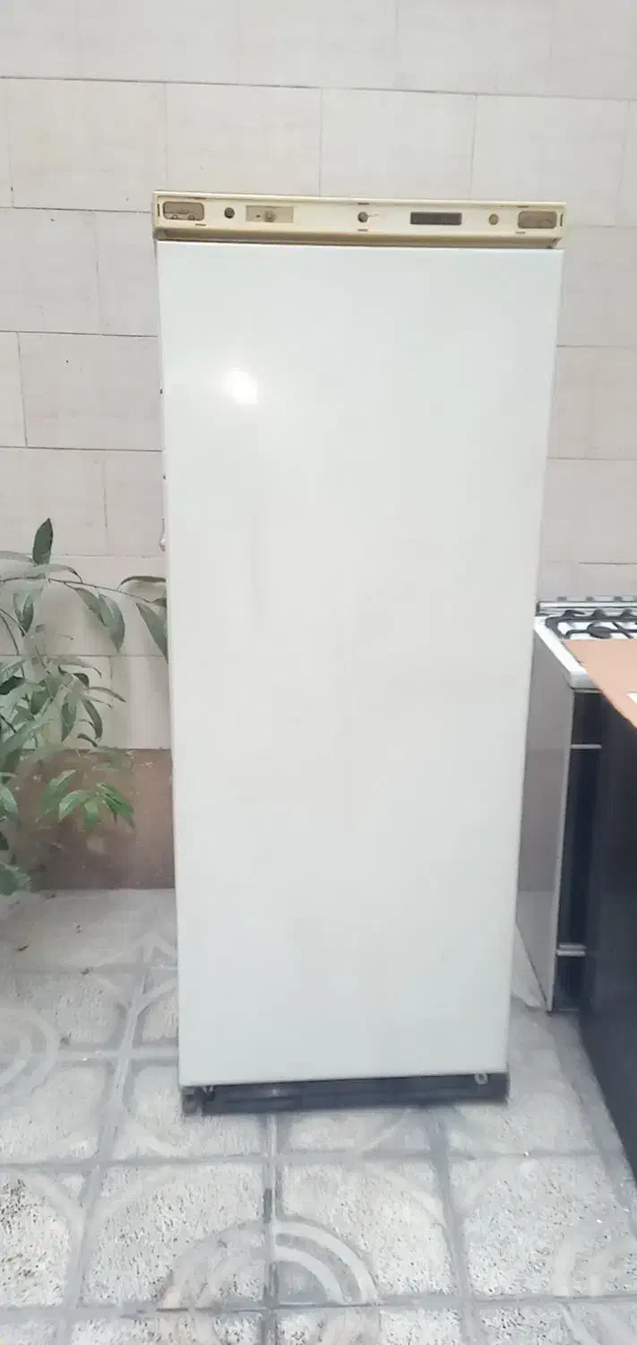 فریزر فیلور|یخچال و فریزر|ری, صفاییه (چشمه علی)|دیوار