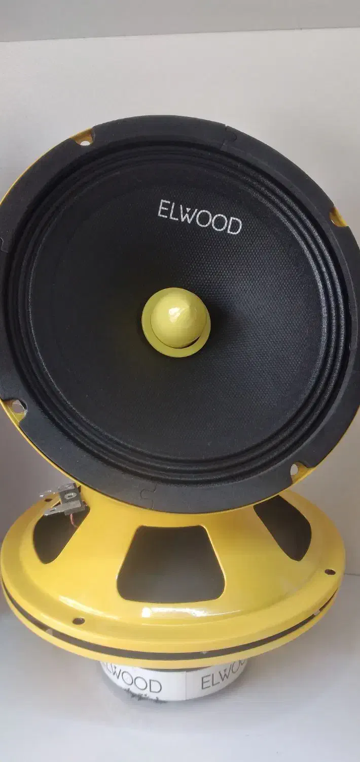 میدرنج شیشونیم|قطعات یدکی و لوازم جانبی|اصفهان, شاه پسند|دیوار