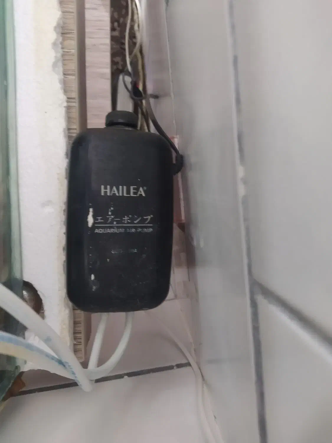 آکواریوم+پمپ+سنگ|ماهی|اراک, |دیوار