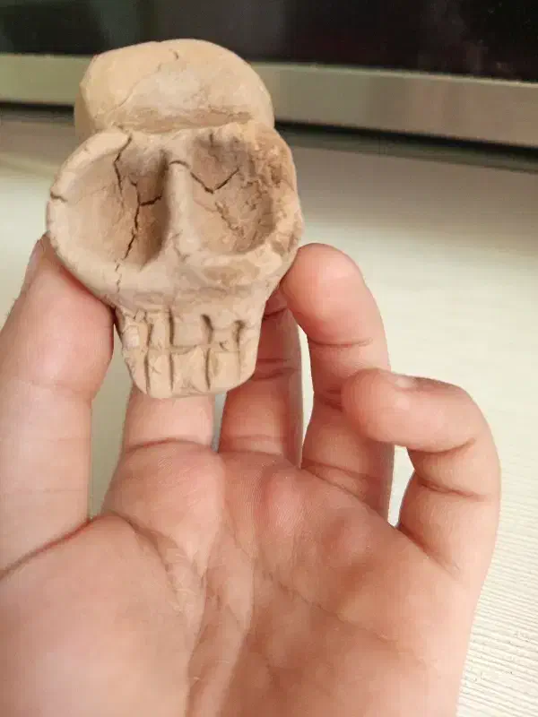 اسکلت دکوری ماکت|اسباب‌‌بازی|بندرعباس, |دیوار