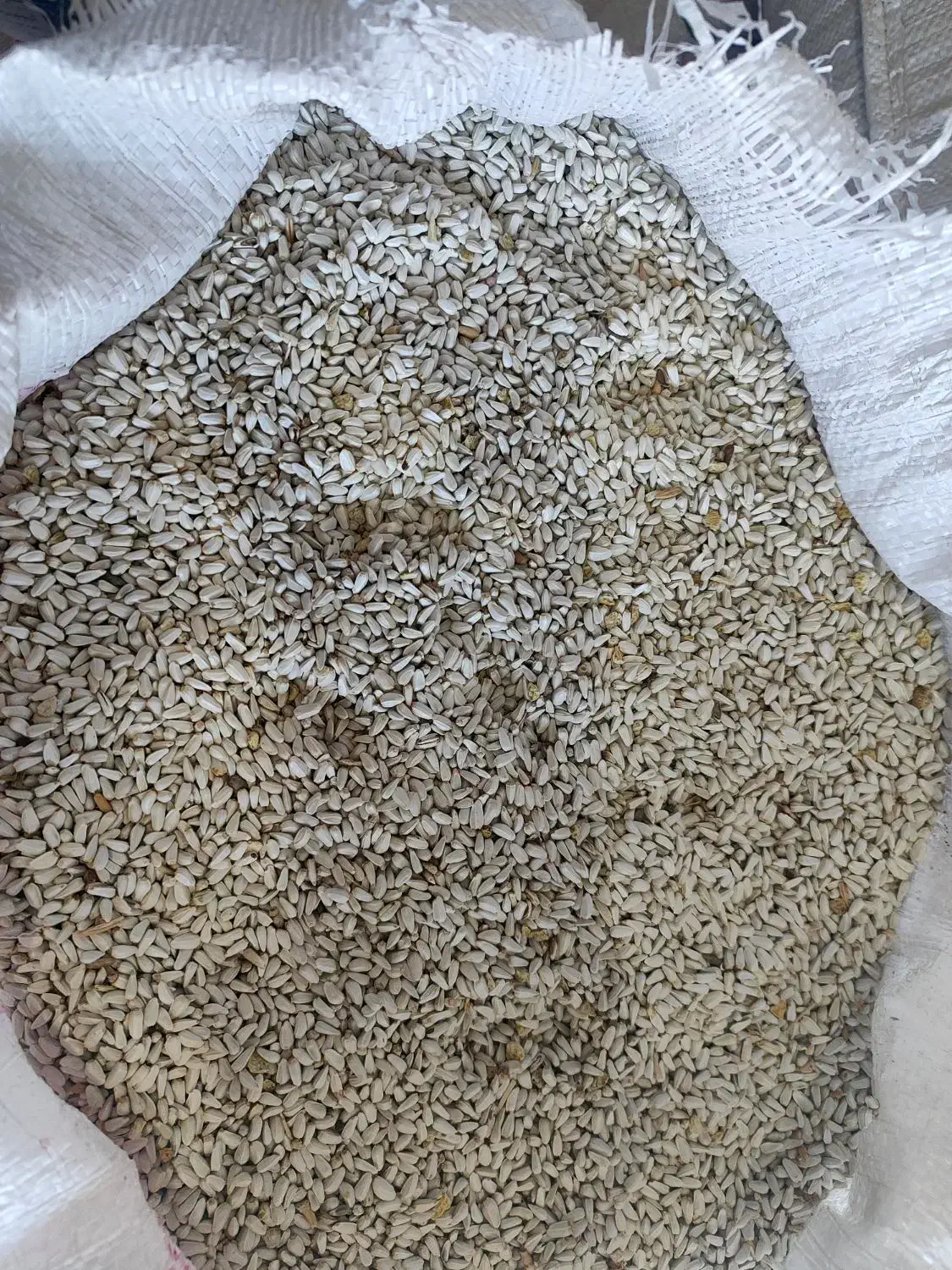 گلرنگ|عمده‌فروشی|رحمت‌آباد, |دیوار