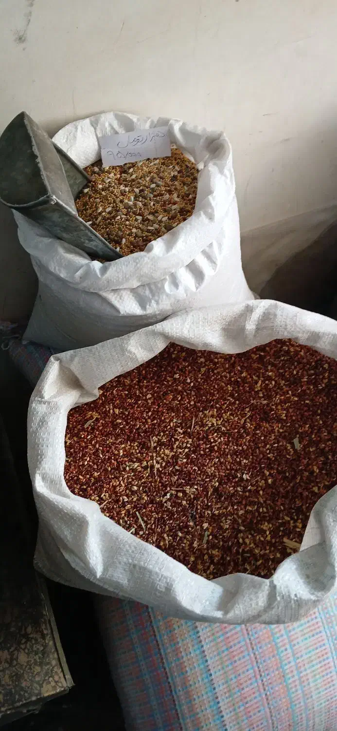 گندم ارزن|لوازم جانبی حیوانات|مشهد, رضاییه|دیوار