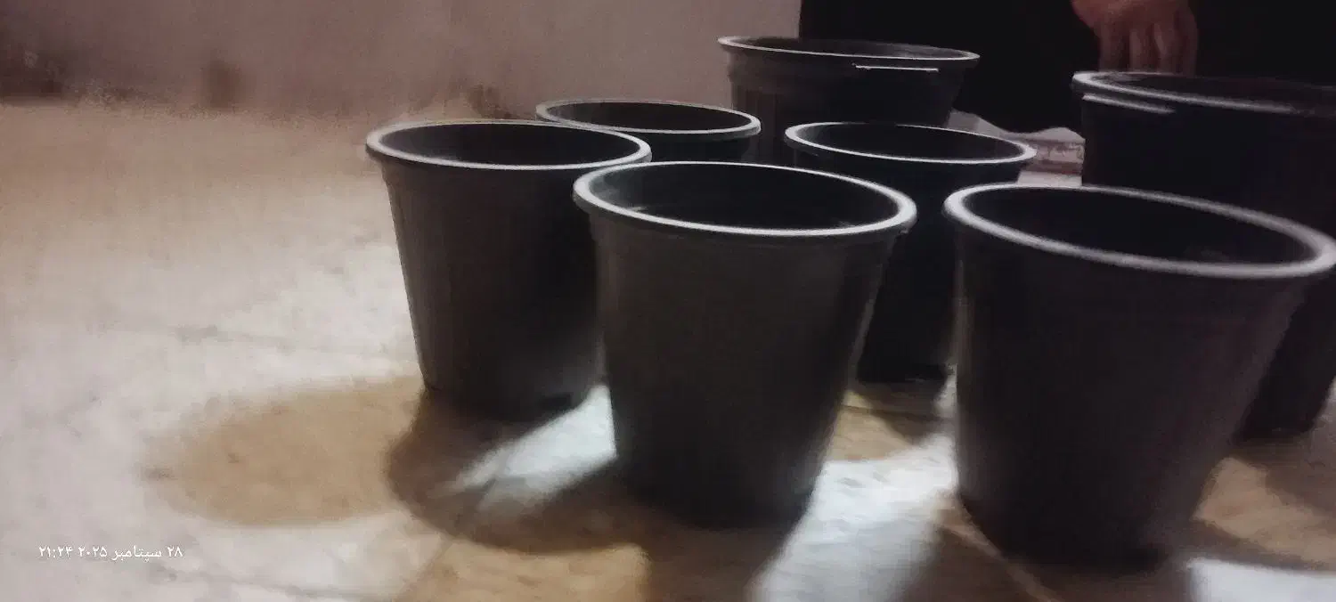 زیریخچالی.گلدان .لامپ نمای ساختمان|لامپ و چراغ|زابل, |دیوار