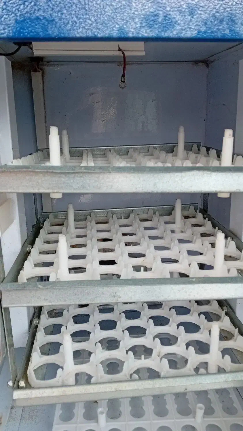 دستگاه جوجه کشی دماوند|لوازم جانبی حیوانات|رشت, پیرسرا|دیوار