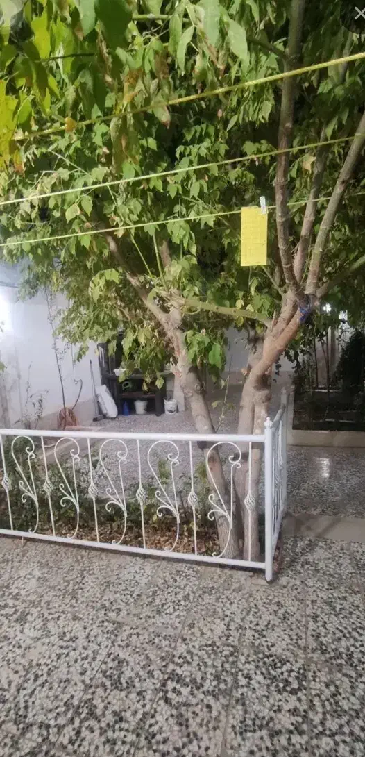 ویلای شیک و تکمیل فول امکانات ، سند دار در عدالت|فروش خانه و ویلا|گلبهار, شهر جدید گلبهار|دیوار