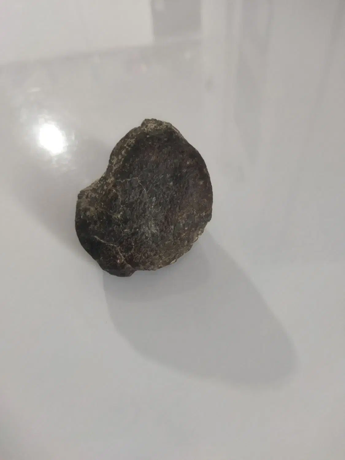 شهاب‌سنگ‌مریخی|کلکسیون اشیاء عتیقه|جغتای, |دیوار