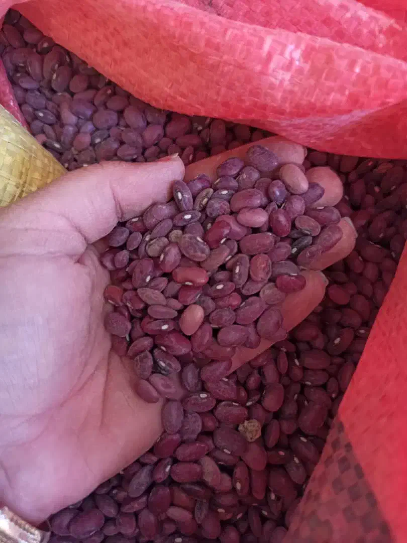 حبوبات به شرط مرجوعی|خوردنی و آشامیدنی|شیراز, شهرک مطهری|دیوار