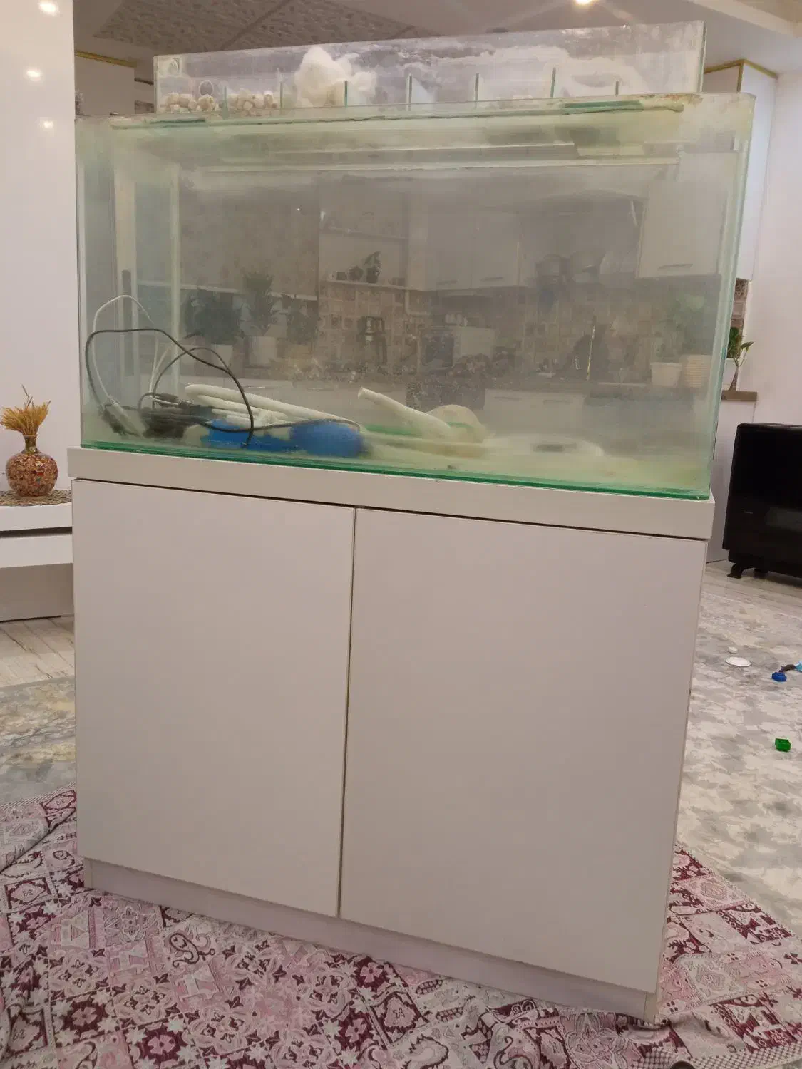 آکواریوم همراه با میز|ماهی|رشت, پیرکلاچای|دیوار