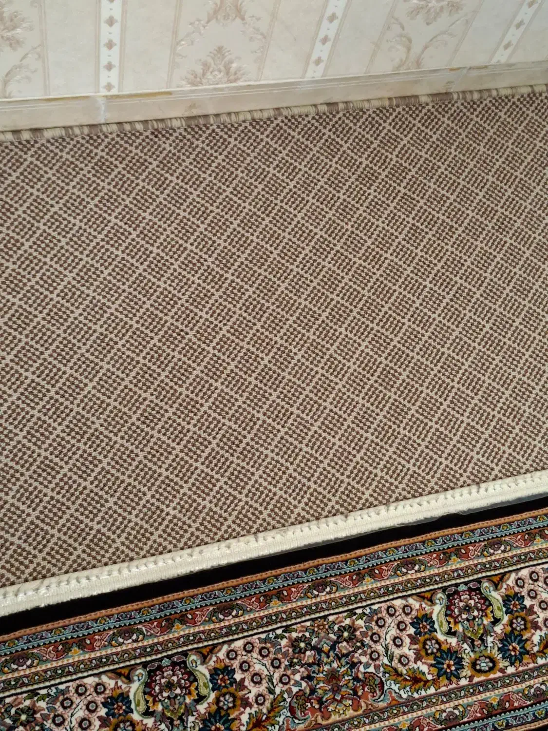 موکت پالاز|موکت|کرمانشاه, |دیوار