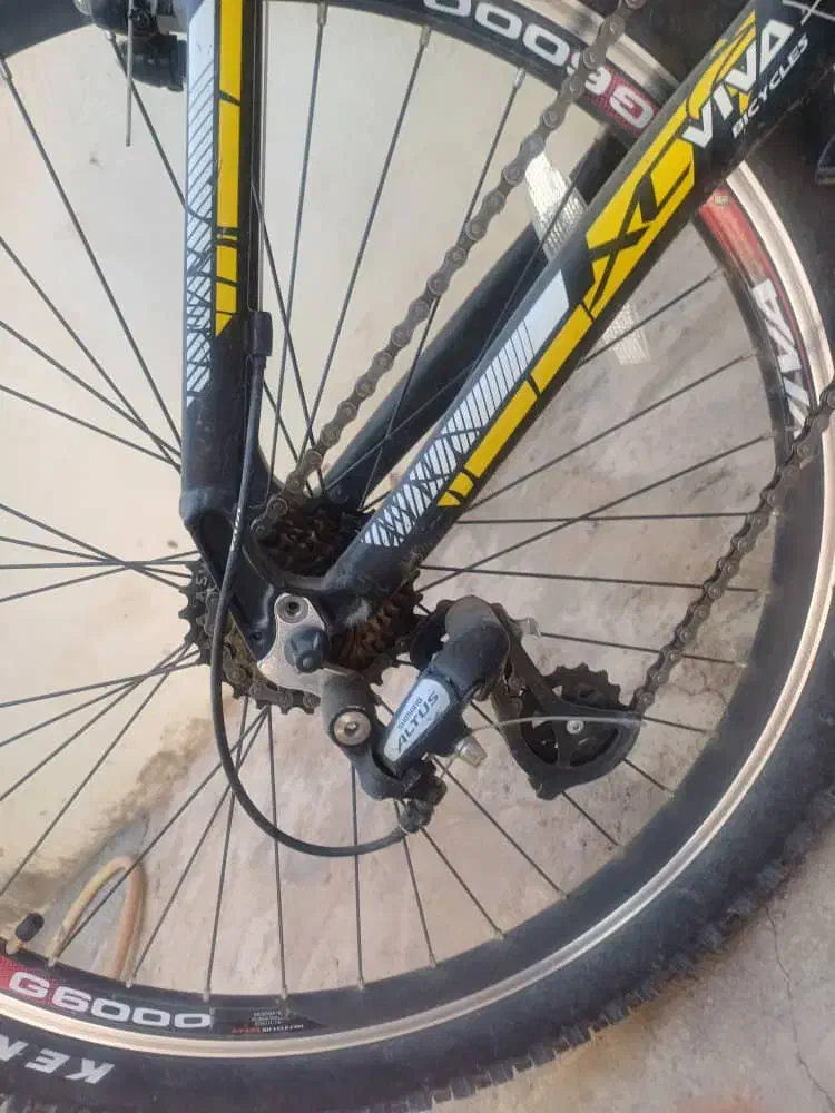 دوچرخه|دوچرخه، اسکیت، اسکوتر|مبارکه, |دیوار