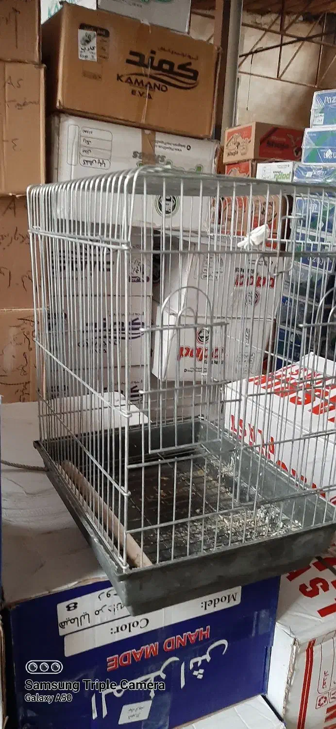 قفس ۱۰۳۲|لوازم جانبی حیوانات|شیراز, گود عربان|دیوار
