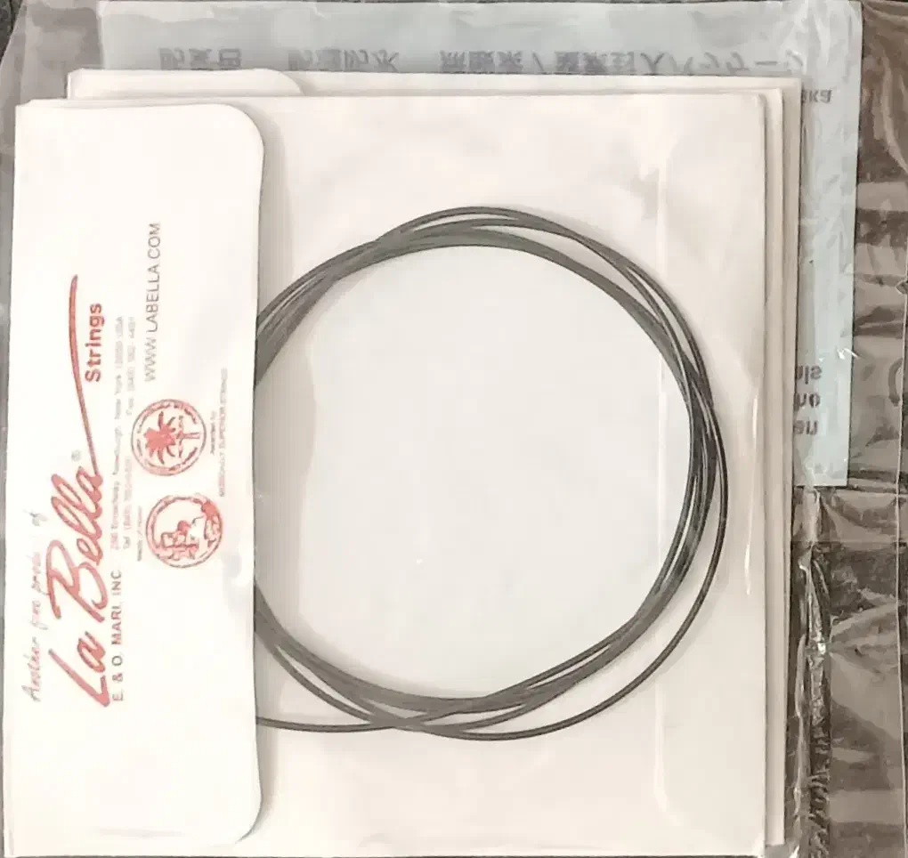 گیتار|گیتار، بیس، امپلیفایر|آبدانان, |دیوار