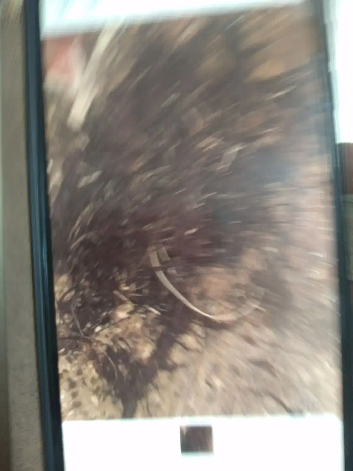 لوله باز کنی کاربلد|خدمات پیشه و مهارت|اسدآباد, |دیوار