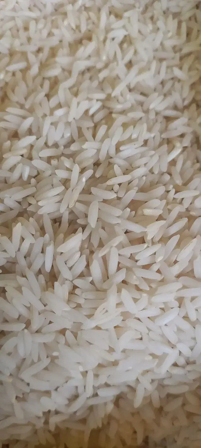 بهترین برنجهای شمال|خوردنی و آشامیدنی|اردبیل, |دیوار