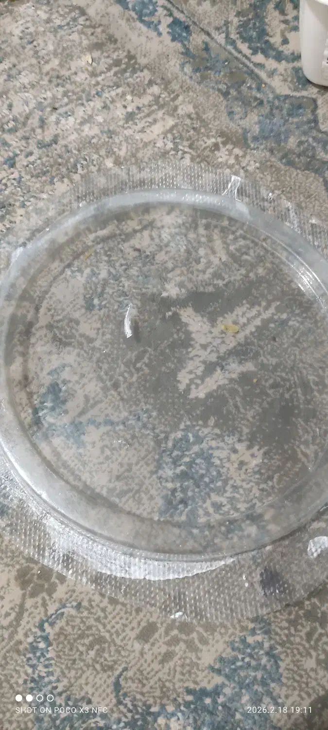 قالب طلقی|ظروف نگهدارنده، پلاستیکی، یکبارمصرف|بندر ماهشهر, |دیوار