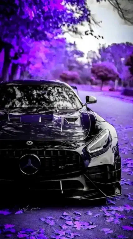 پولیش|خدمات موتور و ماشین|زاهدان, |دیوار