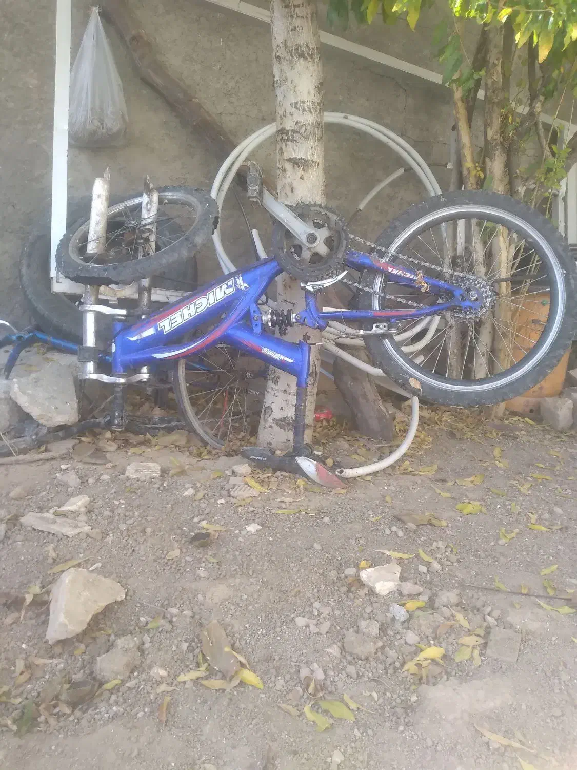 دوچرخه|دوچرخه، اسکیت، اسکوتر|اردل, |دیوار