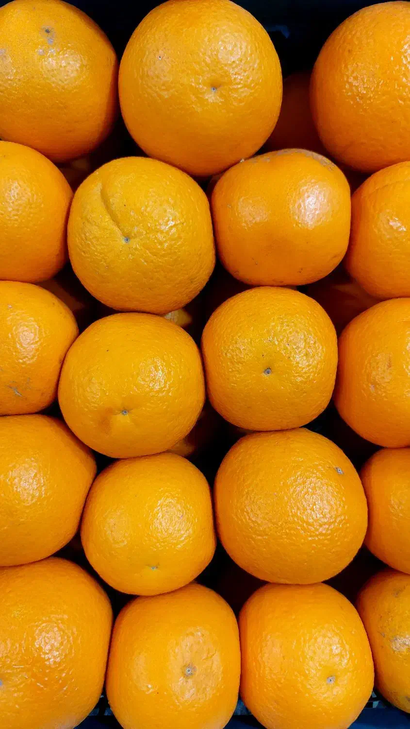 پرتغال شیرین و آبدار + هایپر میوه گلچین|خوردنی و آشامیدنی|شاهدشهر, |دیوار