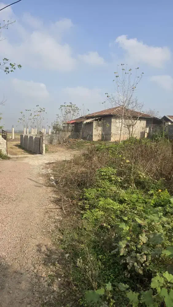 کدباران/۳۰۰متر زمین مسکونی گیلوا قیمت کل ۱،۱۳۰|فروش زمین و ملک کلنگی|کوچصفهان, |دیوار