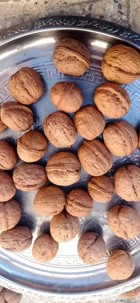 گردو ایرانی یک دست درجه یک|عمدهفروشی|زاینده رود, |دیوار