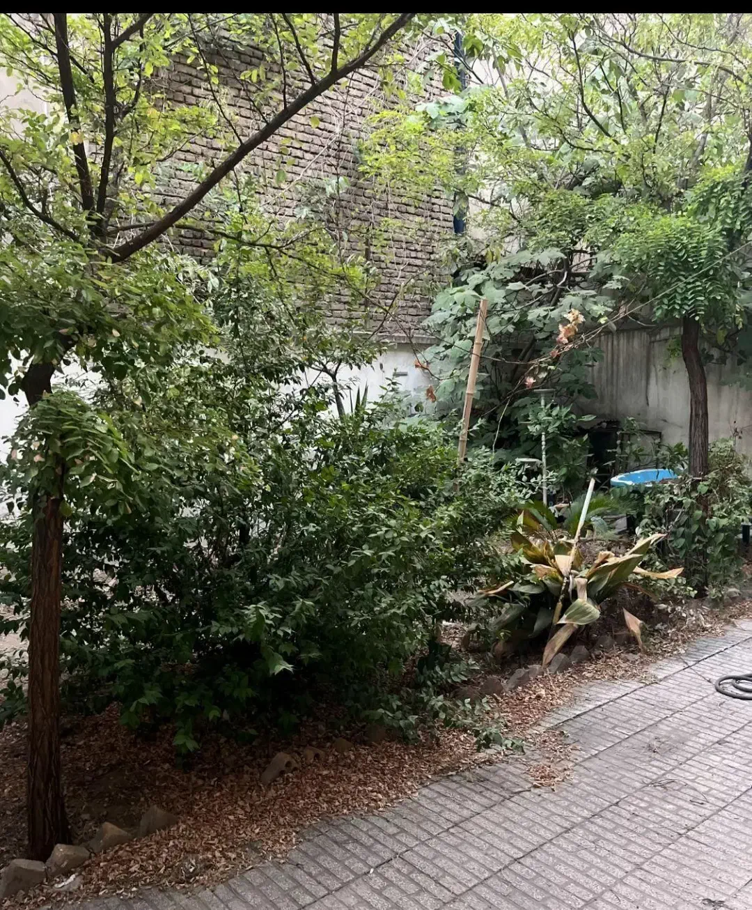 زرتشت غربی۱۵۰متر/۳خواب/۱۰۰متر حیاط اختصاصی|فروش آپارتمان|تهران, بلوار کشاورز|دیوار