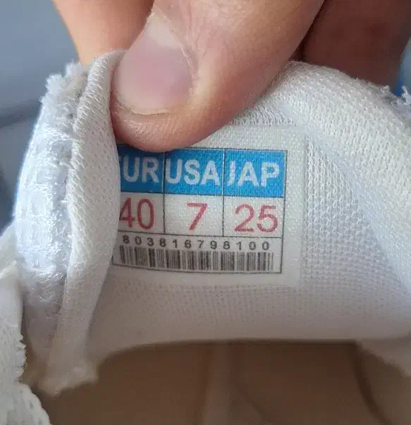 کتونی نو|کیف، کفش، کمربند|قزوین, |دیوار