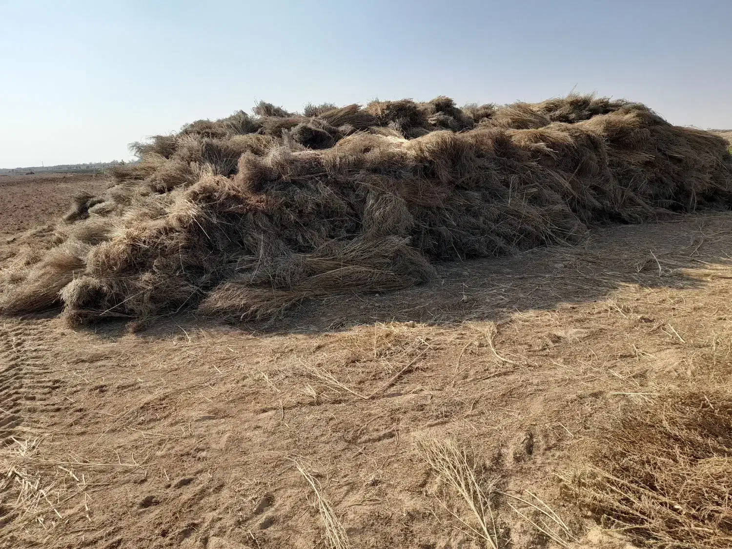 جاروی فراشی عمده|خدمات نظافت|حبیب آباد, |دیوار