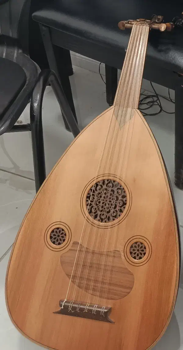 عود زریاب ترکی1|سازهای سنتی|میناب, |دیوار