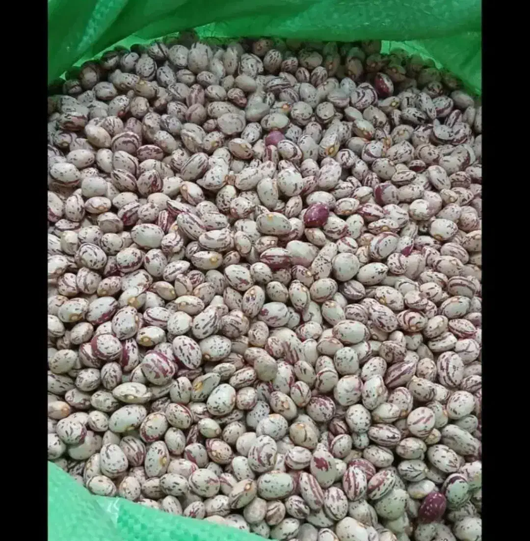 فروش لوبیا چیتی|خوردنی و آشامیدنی|صائین قلعه, |دیوار