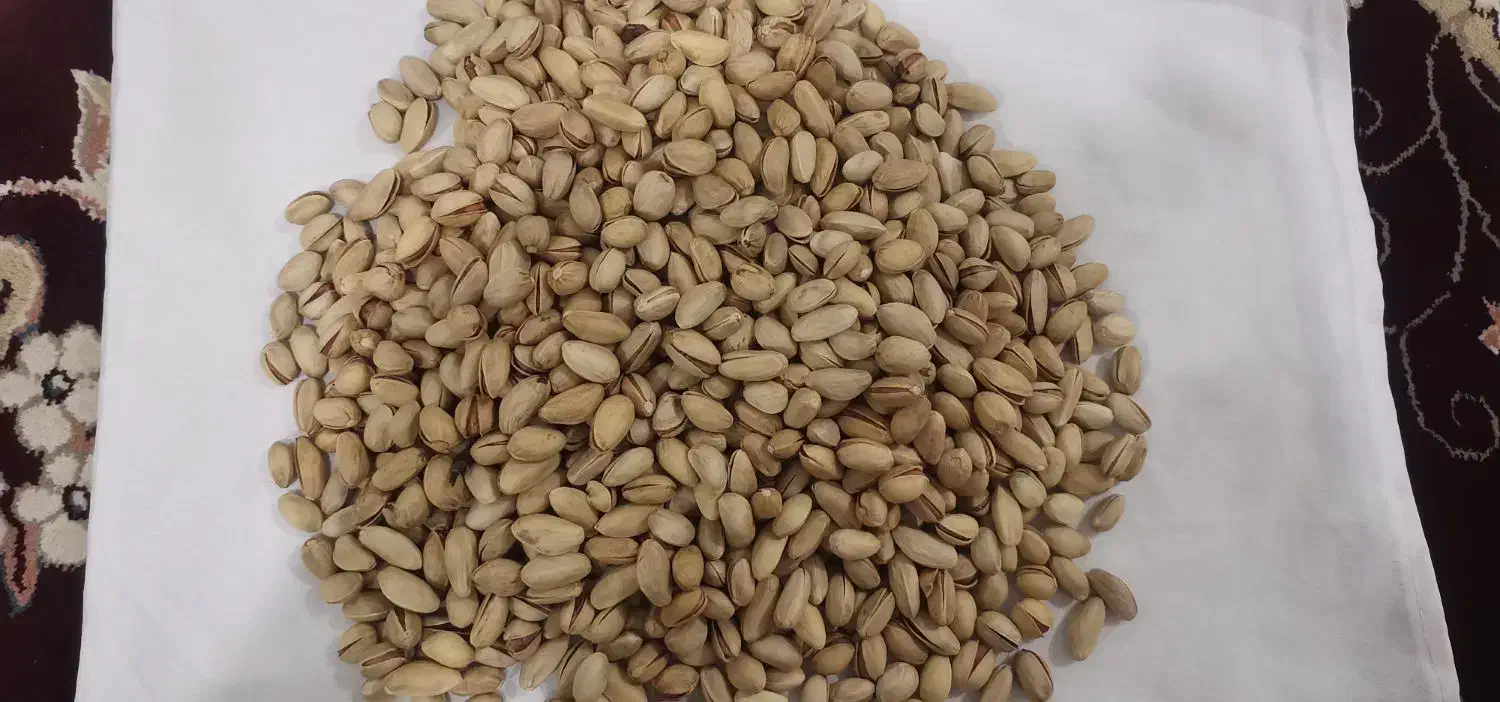 پسته فندوقی بادامی|عمده‌فروشی|مشهد, امام رضا (ع)|دیوار