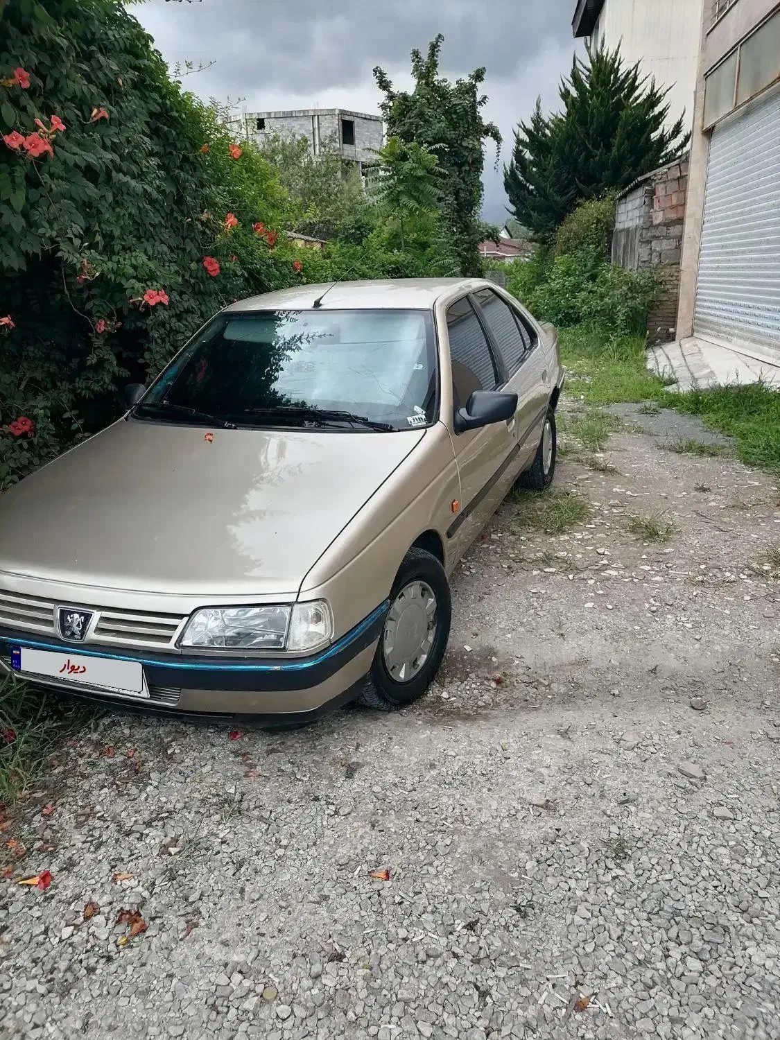 405 مدل 83 دور رنگ|خودرو سواری و وانت|سلمان‌شهر, |دیوار