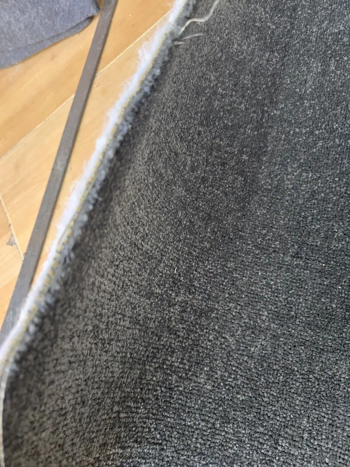 پالاز موکت نمایشگاهیی|موکت|تهران, مولوی|دیوار