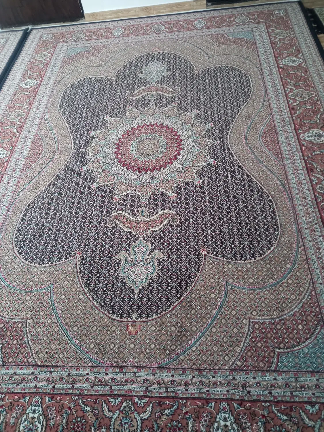 یک جفت فرش ریزه ماهی ۱۲ متری|فرش|پارسآباد, |دیوار