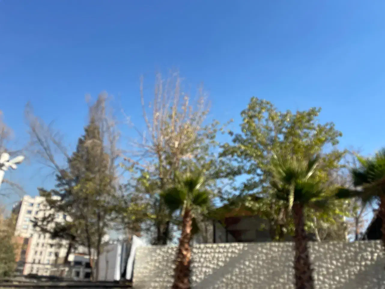 کافه باغ|اجارهٔ مغازه و غرفه|تهران, امانیه|دیوار