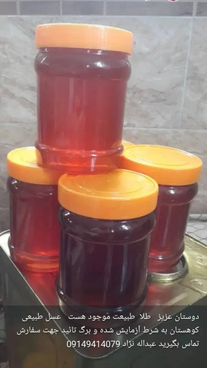 نهال گردو|گل و گیاه طبیعی|سیلوانه, |دیوار