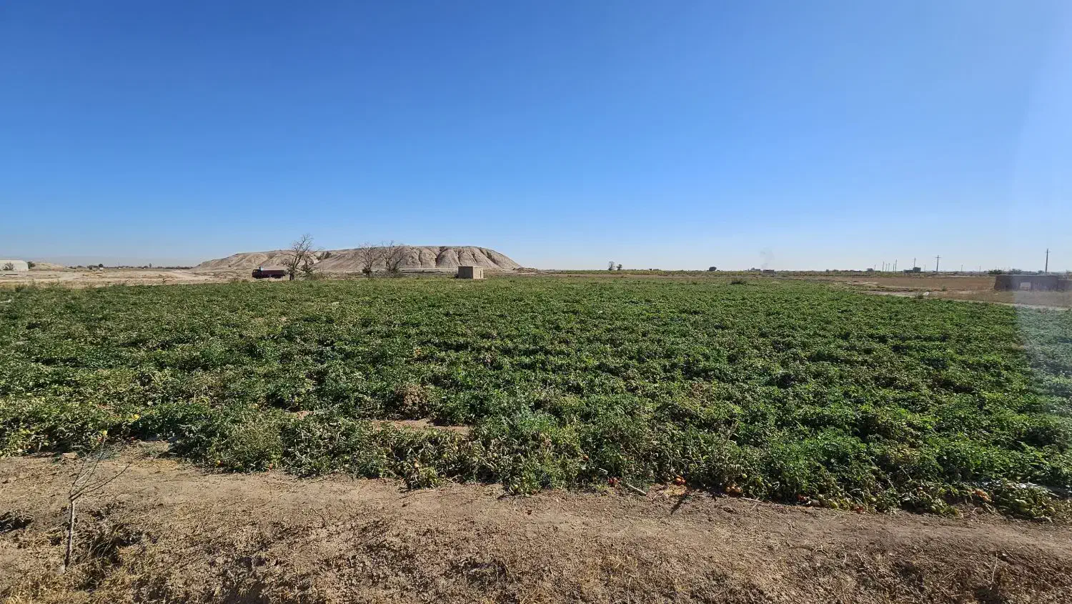 دامداری به همراه زمین و آب|فروش دفتر صنعتی، کشاورزی، تجاری|تاکستان, |دیوار