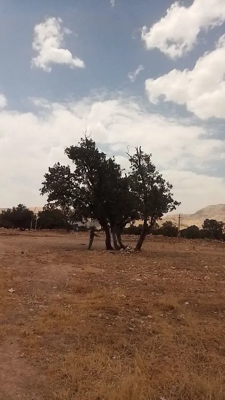 زمین تجاری مخصوص سفره خونه نوراباد جاده بوان|فروش زمین و ملک کلنگی|نورآباد ممسنی, |دیوار