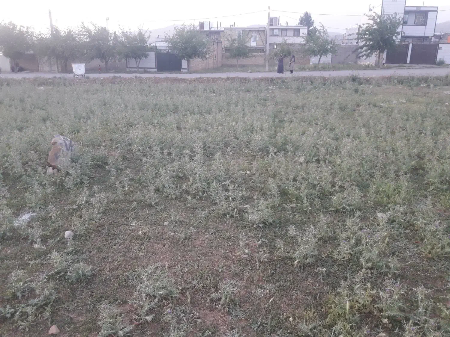 زمین ویسیان|فروش زمین و ملک کلنگی|ویسیان, |دیوار