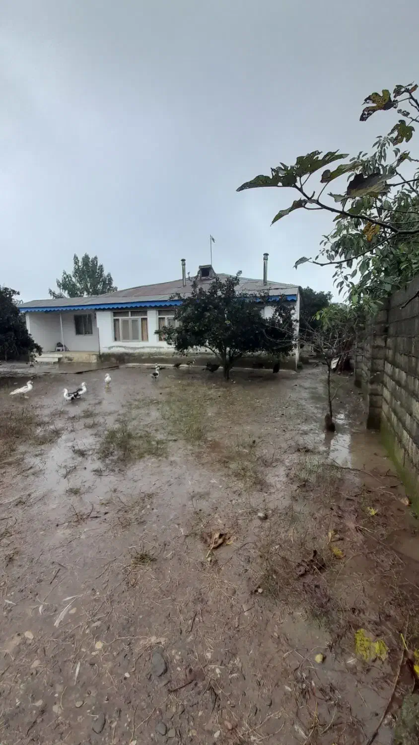 فروش زمین و خانه قدیمی|فروش زمین و ملک کلنگی|رضوانشهر, |دیوار