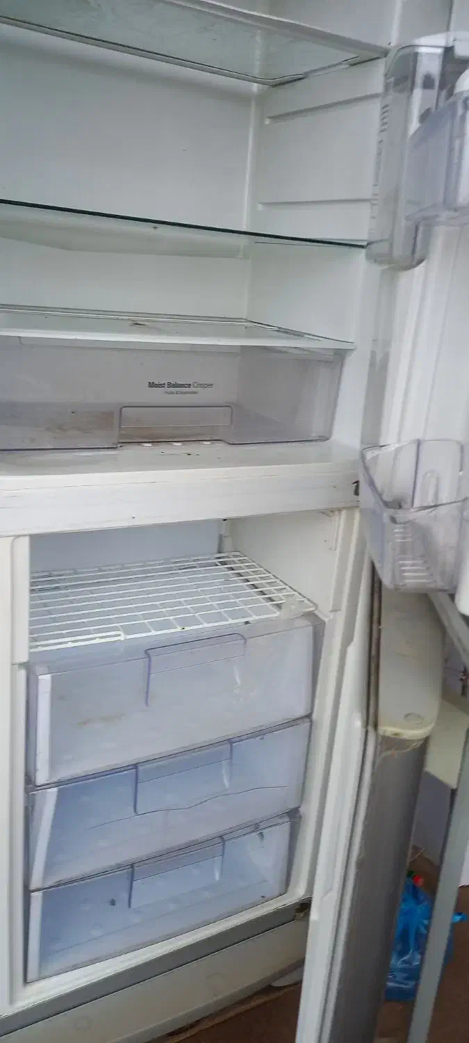 یخچال فریزر سیلوان تمیز و مرتب|یخچال و فریزر|گالیکش, |دیوار