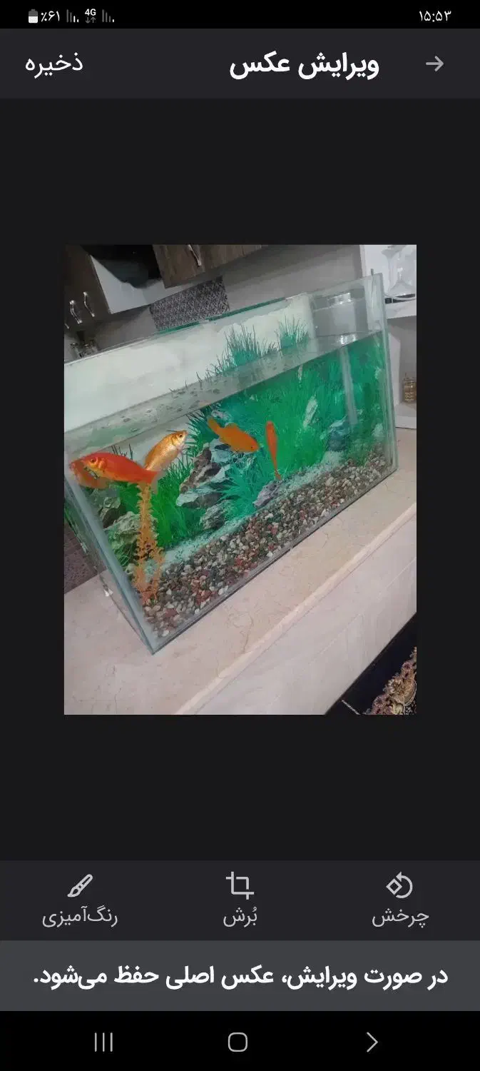 آکواریوم به ابعاد۳۰در۷۰همراه باپمپ امیلیون|لوازم جانبی حیوانات|آباده, |دیوار