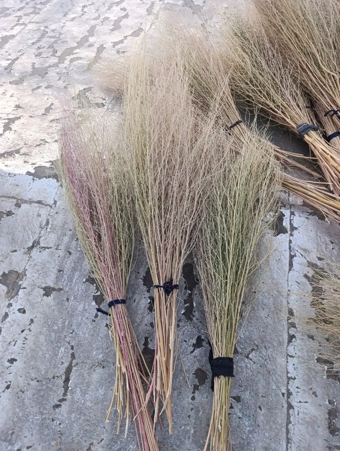 جارو محلی|لوازم نظافت|الشتر, |دیوار